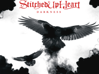 Stitched Up Heart Darkness Album Cover